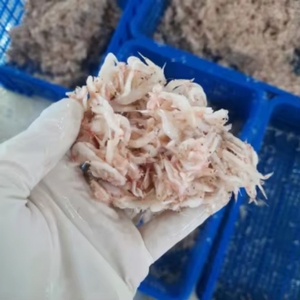 Camarones crudos y salados congelados Venta a granel Ingredientes de mariscos Camarones bebés congelados IQF Sal cruda Suministro de camarones sin cocer conservados - Product Image 1