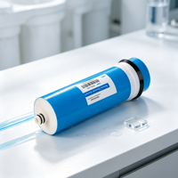 Membrane d'osmose inverse en polyamide composite à film mince 300 GPD, élément enroulé en spirale pour l'alimentation en eau potable des cantines scolaires