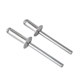 <span class=keywords><strong>Remache</strong></span> Ciego de Acero Inoxidable SS316 de 6 mm, Estándar DIN, Color Zinc, Acabado Brillante, Marca Zhuocheng, Modelo 7337, Uso en Instrumentos, ISO9001 - Product Image 1