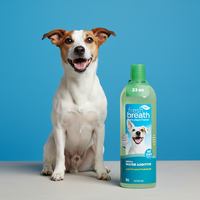 Additif pour l'eau pour une haleine fraîche chez les chiens, rafraîchisseur d'haleine et solution de nettoyage des dents pour chiens, sans dentifrice ni brosse à dents