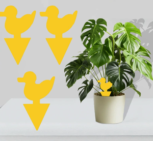 Trappola <span class=keywords><strong>per</strong></span> insetti gialla a forma di cartone animato, con colla biadesiva, <span class=keywords><strong>per</strong></span> il controllo dei parassiti nei giardini e negli orti. - Product Image 6