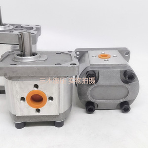 ปั๊มเกียร์ไฮดรอลิก Sairui CBN-F310 ปั๊มน้ำมันไฮดรอลิกไฟฟ้า ปั๊มเพิ่มแรงดันไฟฟ้า หลายอัตราการไหล - Product Image 2