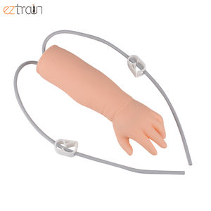 Kit de bras IV nouveau-né pour la ponction veineuse et la formation de phlébotomie modèle IV néonatal - Product Image 2