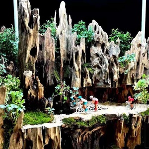 Décoration pour aquarium : Bois flotté brésilien en forme de branche thaïlandaise, texture claire, pour aquarium de forêt tropicale, usage intérieur, fabricant - Product Image 6