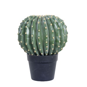 <span class=keywords><strong>Cactus</strong></span> Artificial Redondo en Maceta, 3 Tamaños, Maceta <span class=keywords><strong>de</strong></span> Plástico Negra, Decoración Nórdica para Mesa, Venta al Por Mayor - Product Image 5