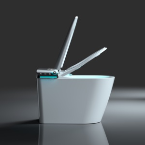 Цельный керамический унитаз - Product Image 5