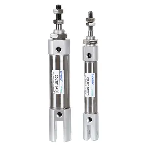 Low price CDJ2D Series stainless steel Mini double acting pneumatic cylinder