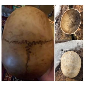 Cuenco de oración nepalí hecho a mano personalizado altamente pulido resina de alta calidad para restaurante de Hotel en casa directamente desde la India - Product Image 4