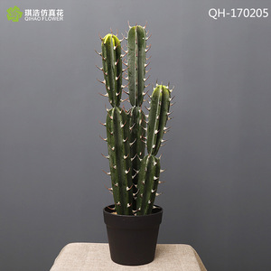 Artificial Cactus Potted <b>Plant</b> High Simulation <b>Plastic</b> Desktop Decor For Indoor Outdoor Use - Product Image 4