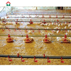 ชุดสร้างโครงสร้างเหล็กพร้อมกรงไก่,กรงหมูฟาร์มสุกรสำเร็จรูปขนาดใหญ่บ้านเล้าไก่ - Product Image 2