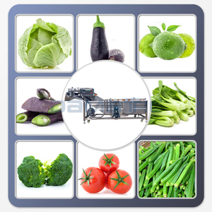 Ligne de production d'équipements de lavage, de séchage et de transformation des fruits et légumes, fraises, carottes, pommes de terre, gingembre - Product Image 2