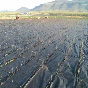 Fábrica Venta caliente al por mayor Granja Jardín Cubierta de suelo de plástico Estera de control de malas hierbas