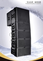 Haut-parleur professionnel 10 pouces Double Line Array Active Neo Magnet Metal Shell Impédance 8ohm pour les performances de concert en plein air