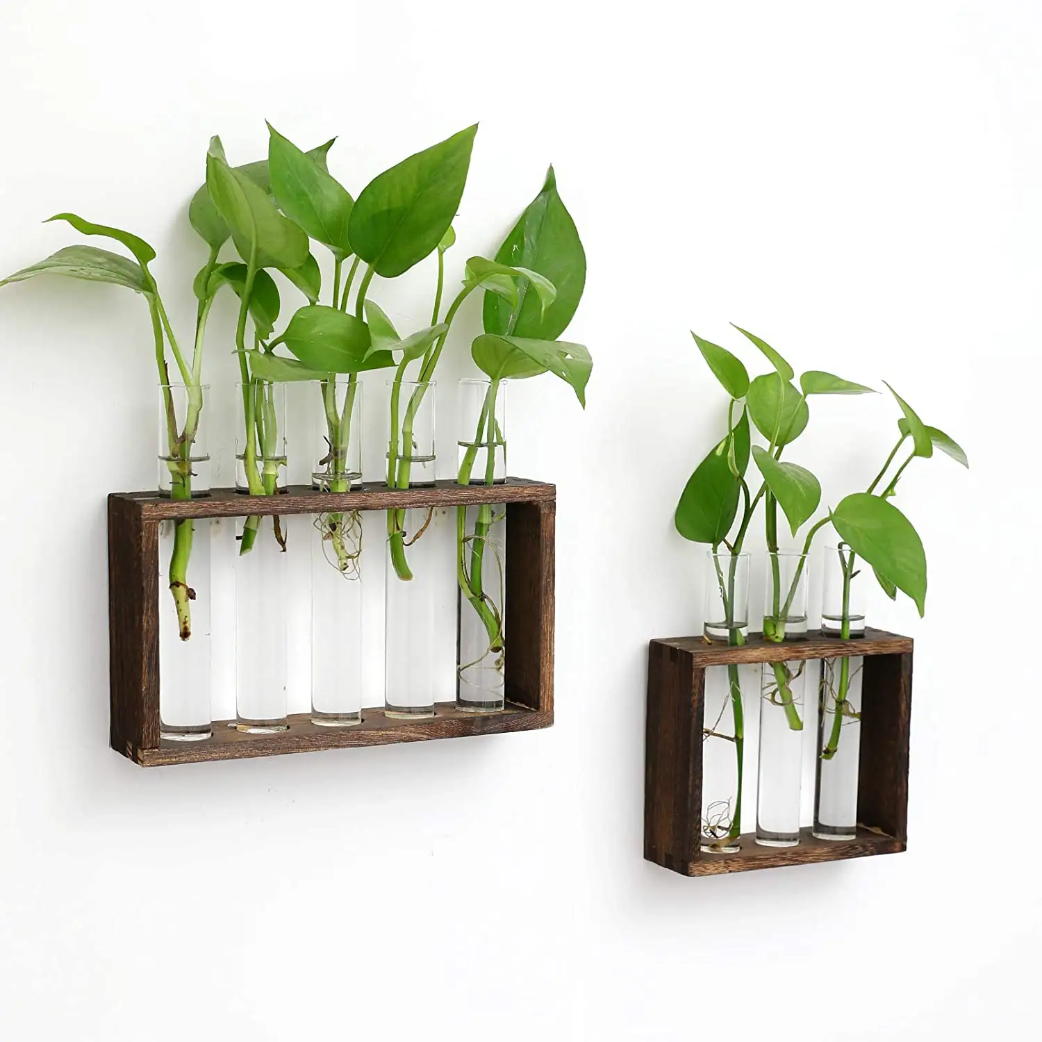 Новинка, идея для домашнего декора, деревянная подставка для растений, террариума, настенная подвесная испытательная ваза