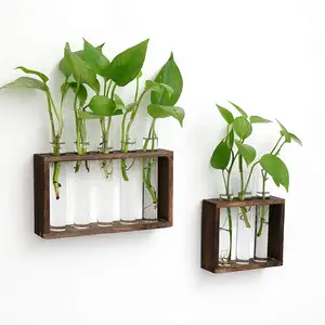 Neue Produktideen Wohnkultur Pflanzen Terrarium Holz ständer Wand montage Hängende Reagenzglas Vase