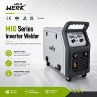 Machine à souder à l'arc portable à contrôle synergique certifiée CE ISO, haute fréquence, stable, pour travaux sur l'acier au carbone, TIG MIG