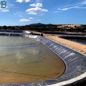HdpeGeosynthetic Material For Fishpond Biogas Digester Impervious Lake Geomembrane