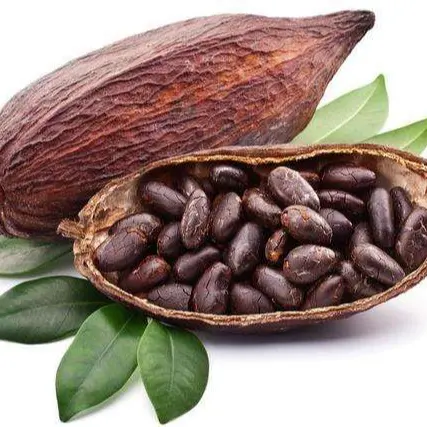 Ingrédients du chocolat Kakao Nature casher cacao en poudre 25kg