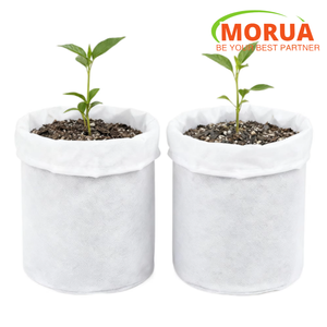 Sacs <span class=keywords><strong>de</strong></span> culture respirants en tissu non tissé Morua pour pépinière - Product Image 1