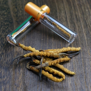 Hongos <span class=keywords><strong>de</strong></span> oruga china, cordyceps, wilde, cordyceps, sinensis, planta completa, sinensis, mycelium - Product Image 5