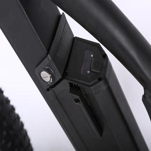 มอเตอร์ศูนย์กลางด้านหลังจักรยานไฟฟ้า1000W 48V แบตเตอรี่ลิเธียมสำหรับจักรยานเสือหมอบระยะยาวระบบกันสะเทือนแบบเต็มรูปแบบ - Product Image 3