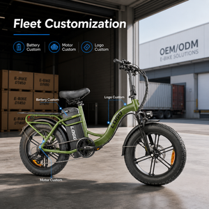 Bicicleta Eléctrica de Carga Personalizable de 48V 500W, Neumático Grueso de 20 Pulgadas, Cuadro de Aluminio Plegable, Freno de Disco, Solución OEM ODM - Product Image 1