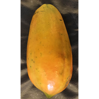 Productieve Papaya F1 Hybride met verbeterde vruchtvorming en superieure veldprestaties, gele vruchtvlees, 99% zuiverheid voor kwekers