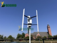 Volant d'inertie pour générateur d'énergie libre Axe vertical 25Kw 3Kw 5Kw 2Kw Puissance 900W 2000W 5000W 10Kw Générateur de turbine éolienne Windkraftanlage