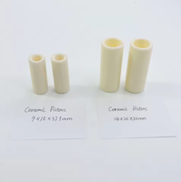 Plongeur en céramique pour pompes Interpump série T |   20 mm x 50 mm |   Remplacement haute performance pour les modèles 47 S