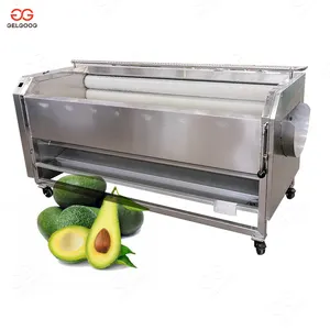 Industrial Fruit Washer Pineapple Sugarcane Avocado Washing Machine with CE Certificate