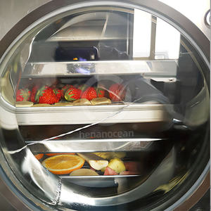 OCEAN Industrial 10 Tray Freeze Dryer Machine Liofilizador Do Leite Marshmallow <b>Vaccum</b> Freeze Dryer - Product Image 5