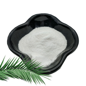 Axit béo thực vật Saw Palmetto Berry chiết xuất từ quả 40% 45% nguyên chất nguyên liệu Saw Palmetto chiết xuất bột - Product Image 2