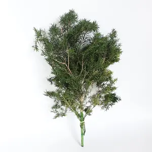 60厘米2种颜色保存的绿色白千层植物永恒的人造花婚礼家居DIY