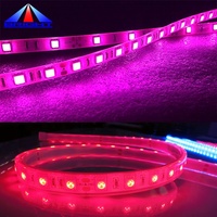 Su geçirmez sarı amber 60leds/m SMD5050 esnek led şerit 14.4 w/metre sıcak beyaz RGB RGBW led aydınlatma şeridi bant