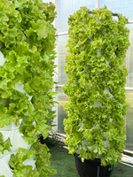 Meilleur prix tour hydroponique verticale 80 trous fournitures système de jardin ferme vente en gros tour aéroponique