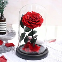 Rose rouge véritable préservée sous cloche en verre, rose éternelle, fleur pour toujours, cadeau de Saint-Valentin, cadeau d'anniversaire pour petite amie, décoration de la maison