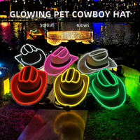 Lustiger LED-Neon-Kunststoff-Mini-Cowboyhut Leuchtender Haustierhut für Halloween, Weihnachten, Hochzeiten, Geburtstagsfeiern - Sehr Beliebt