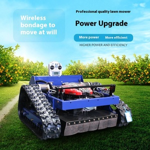 เครื่องตัดหญ้าอัตโนมัติอัจฉริยะ 196 ซีซี สี่จังหวะ 7.5/9 แรงม้า จากโรงงานโดยตรง |   สารกำจัดวัชพืชสำหรับสวนบ้านเกรดอุตสาหกรรม/พาณิชย์ Y - Product Image 2