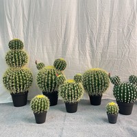Plante artificielle en plastique réaliste, cactus artificiel sans entretien pour la décoration intérieure et extérieure, maison, bureau