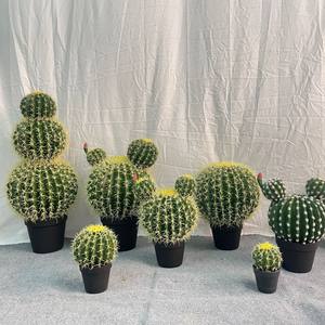 Plante artificielle en plastique réaliste, cactus artificiel sans entretien pour la décoration intérieure et extérieure, maison, bureau - Product Image 2