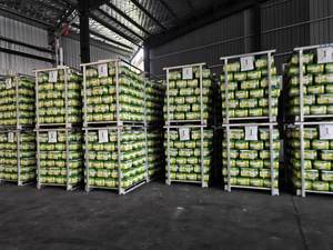 Çin tedarikçisi saf Normal taze beyaz sarımsak toptan fiyat sunuyor çin'den Ajo frafrais ihraç - Product Image 6