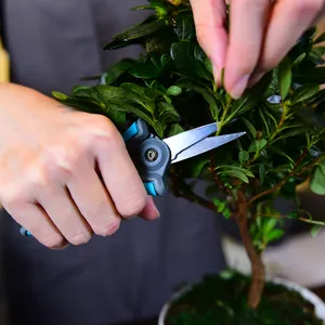 Tondeuses de jardin légères sécateur à tête droite pour couper les fleurs et couper les plantes ciseaux bonsaï outil de jardinage en gros