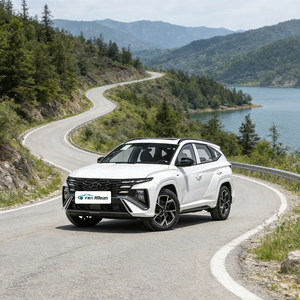 Cuero de Alta Calidad Usado para <span class=keywords><strong>Tucson</strong></span>, Lado Izquierdo, Color Oscuro, R17, SUV Compacto, Económico, Lujoso, Confiable, Duradero, Espacioso, Alto Valor de Reventa - Product Image 1