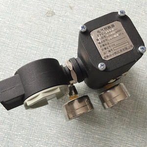 Fabricantes Estándar Nacionales Ofrecen Convertidores Eléctricos de la Serie EPC-1110 para Transmisores de Presión al por Mayor - Product Image 3