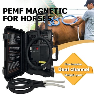 Pelvic Health Pest PEMF Therapy Machine for Horse Enhanced Blood Circulation Stimulate Cell Regeneration and Reduce Inflammation - Product Image 1