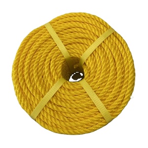 Cường độ cao PE và nylon Marine dây thừng cho nuôi trồng thủy sản thiết bị bao bì Neo Lưới đánh cá bền Polyester <span class=keywords><strong>PP</strong></span> dây thừng - Product Image 5