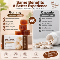 Leeuwenmanen Paddenstoel Gummies Hersenenfocus Geheugen Nootropisch Gummy Supplement Cognitieve Ondersteuning Vegan Glutenvrij Private Label