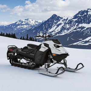 Brp dianfeng สโนว์โมบิล2จังหวะ850cc-สำหรับผู้ใหญ่เส้นทางการท่องเที่ยวและกีฬาติดตามความบันเทิง - Product Image 5