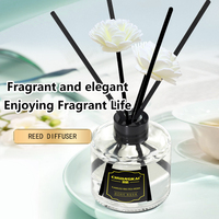 Diffuseur de parfum d'ambiance solide de luxe écologique 100 ml avec bâtonnets en rotin pour maison et hôtel OEM ODM