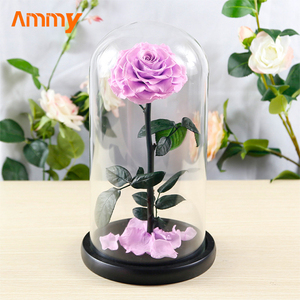 AM-PFA03 Ammy Rosa Rossa Stabilizzata Eterna, Regalo per San Valentino e Natale con Copertura in Vetro, Ideale per la Festa della Mamma - Product Image 4